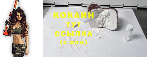 винт Абаза