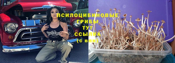 винт Абаза