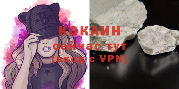 винт Абаза