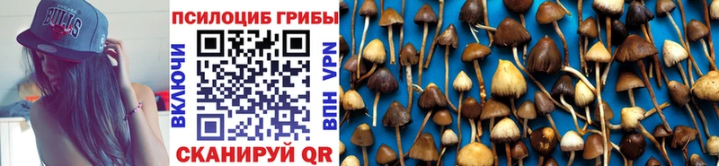 kraken как войти  Электросталь  Псилоцибиновые грибы Magic Shrooms 