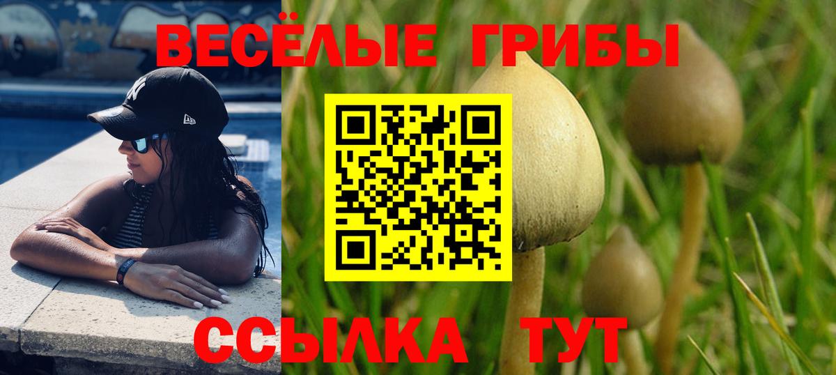 Галлюциногенные грибы мицелий Электросталь